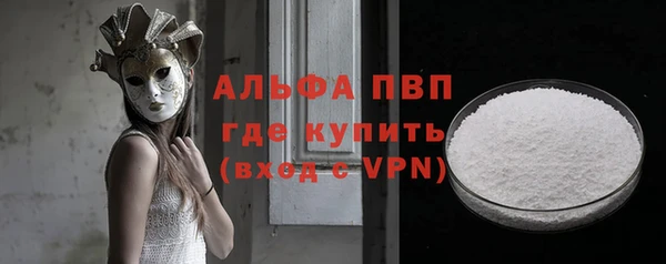 ГАЛЛЮЦИНОГЕННЫЕ ГРИБЫ Аркадак