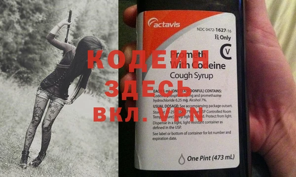 индика Саяногорск