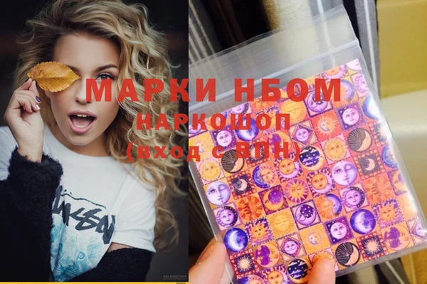 индика Саяногорск